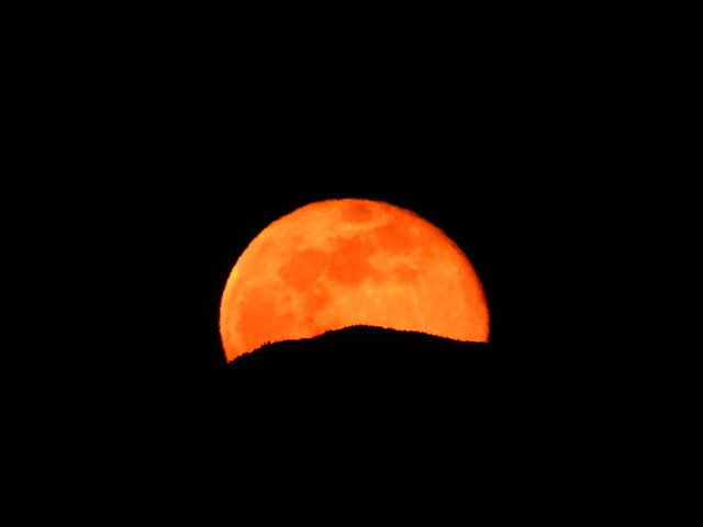 1228十六夜月 (3).JPG