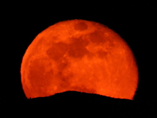 1228十六夜月 (5).JPG