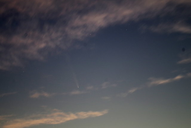 241016紫金山・アトラス彗星 (2)01.JPG