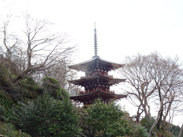 岡寺 (9).JPG