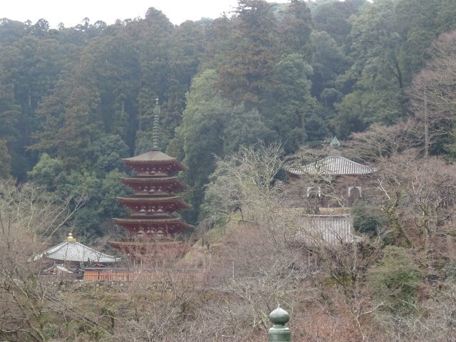 長谷寺 (4).JPG
