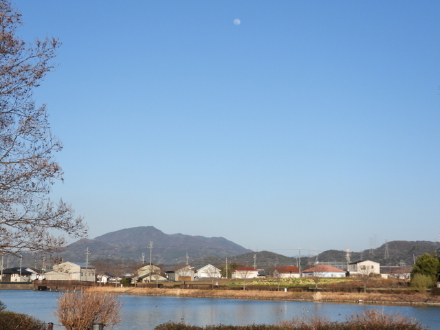 0315十三夜月 (3).JPG