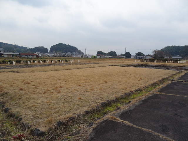 250131飛鳥宮跡 (2).JPG